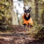 Veste Chien 'Imperméable Visibilité & Récupération' Orange | PAIKKA - Promenade
