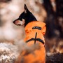 Veste Chien 'Imperméable Visibilité & Récupération' Orange | PAIKKA - Confortable pour tous chiens