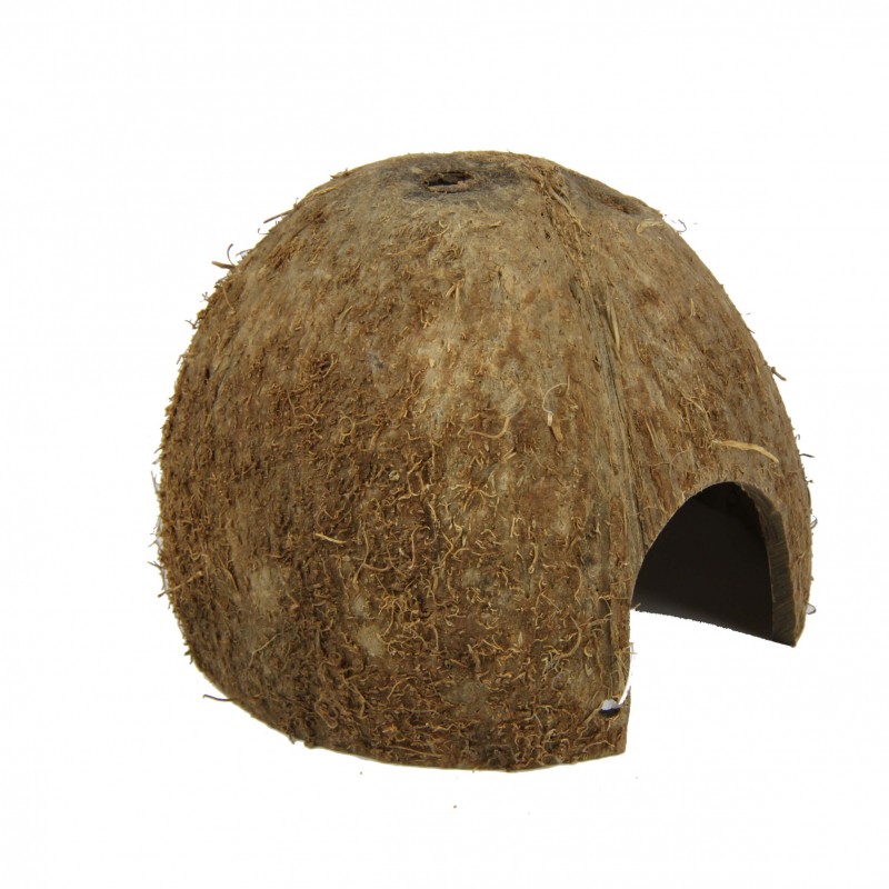 Supports de ponte JBL Cocos Cava Supports de ponte JBL Cocos Cava