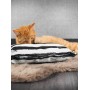 Canadian Cat Coussin Play pillow XXL Canadian Cat C11380