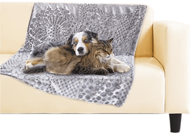 Plaid Gris Pour Animaux