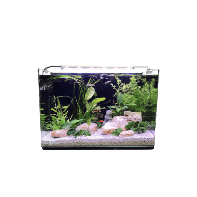 HP Aquarium Aquarium Néophyte 80 NIROX8040