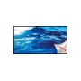 Poster de Fond pour Aquarium 'Ocean/Ruby Lake' | Hobby - Petit Alt