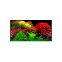Poster de Fond pour Aquarium 'Ocean/Ruby Lake' | Hobby - Seconde Face Petit