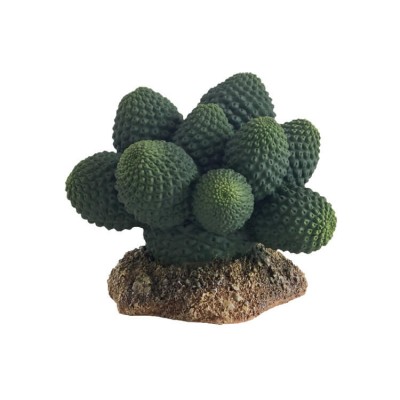 Hobby Plante artificielle Hobby Cactus Atacama 37018