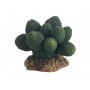 Hobby Plante artificielle Hobby Cactus Atacama 37018