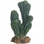 Hobby Plante artificielle Hobby Cactus Victoria 37019