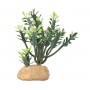 Hobby Plante en plastique Hobby Euphorbia 36999