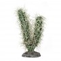 Hobby Plante artificielle Hobby Kaktus Simpson 37004
