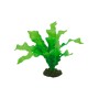 Hobby Plante artificielle Hobby Echinodrus 41504