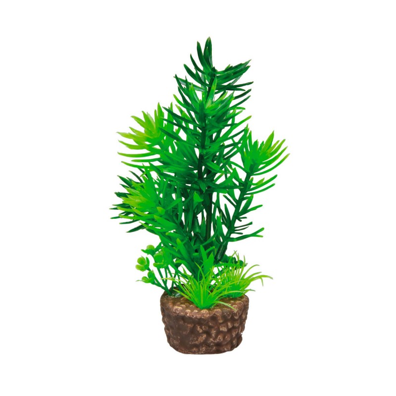 Plante artificielle Hobby Flora Stone 1 Plante artificielle Hobby Flora Stone 1