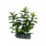 Hobby Plante artificielle Hobby Bacopa 51555