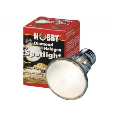 Hobby Ampoule Hobby Halogen Spotlight 37390