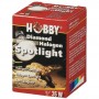 Hobby Ampoule Hobby Halogen Spotlight 37390