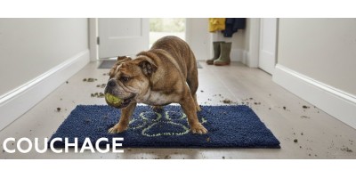 Literie pour chien - Des paniers au meilleur prix !