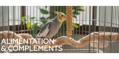 Alimentation & compléments pour oiseaux