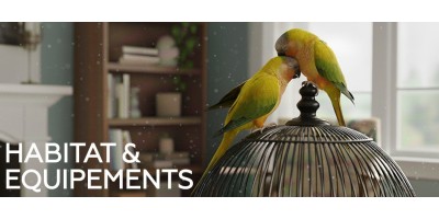 Habitat & équipements pour oiseaux