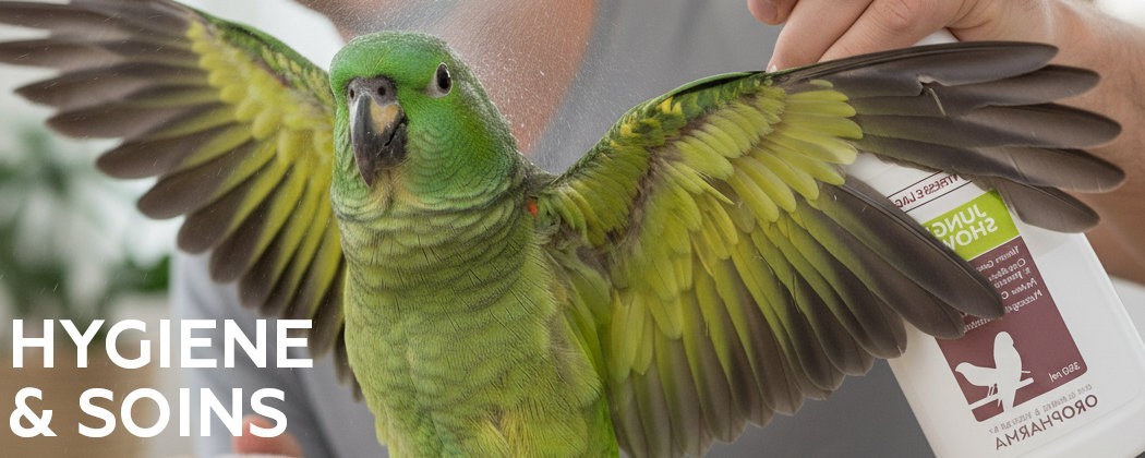 Hygiène et soins pour oiseaux