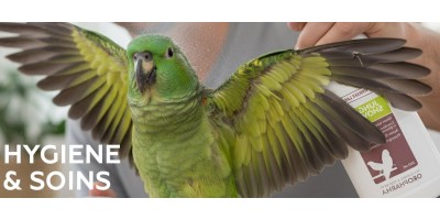 Hygiène et soins pour oiseaux