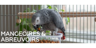 Mangeoires & abreuvoirs pour oiseaux