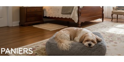 Paniers - Transports & voyages pour chien