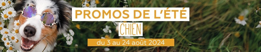 Supers promos chien | Nilufar