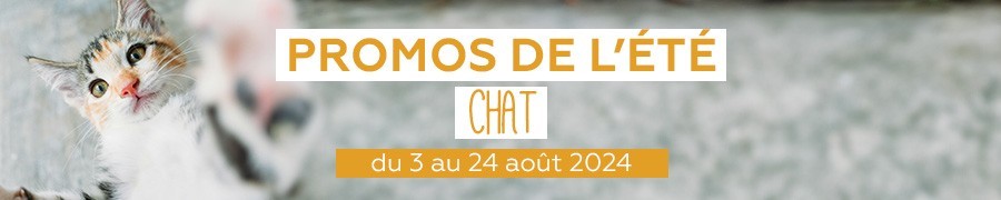Supers promos chat | Nilufar