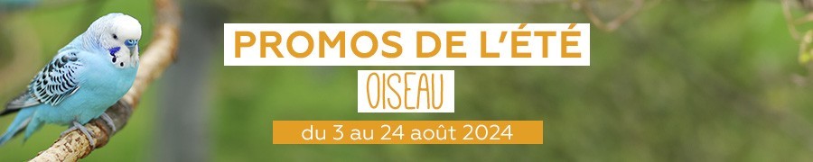 Supers promos oiseau | Nilufar