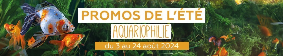 Supers promos Aquariophilie | Nilufar
