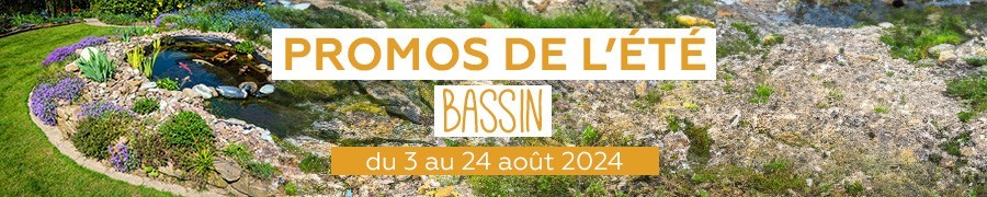 Supers promos Bassin | Nilufar