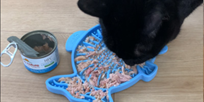Accessoires - Alimentation & compléments pour chat