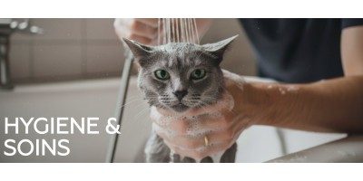 Le nécessaire pour l'hygiène et le soin de votre chat au meilleur prix
