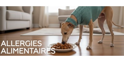 Allergies alimentaires