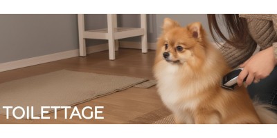 Toilettage