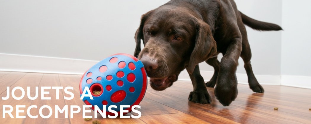 Jouets à récompenses