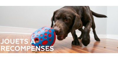 Jouets à récompenses