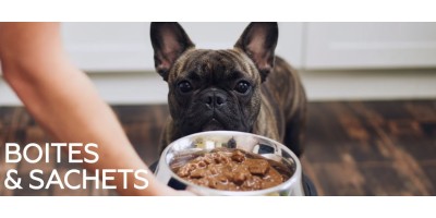 → Boîtes et pâtées pour chien -  Délicieuses saveurs au meilleur prix