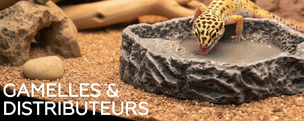 Gamelles & distributeurs d'eau