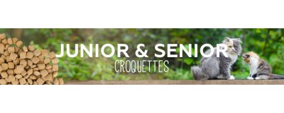 Junior & Senior