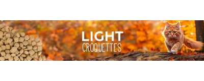 Light