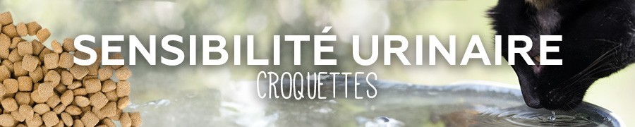 Croquettes chat sensibilité urinaire : Confort ciblé | Nilufar
