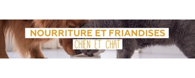 Nourriture
