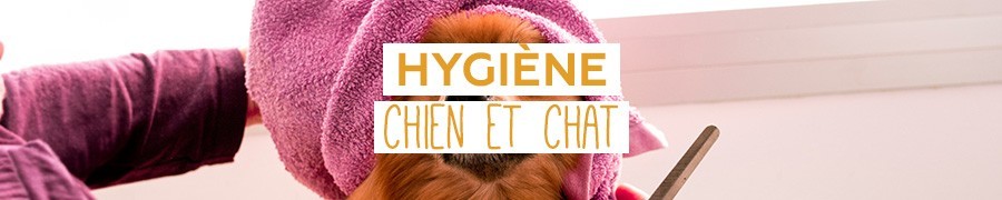 Hygiène