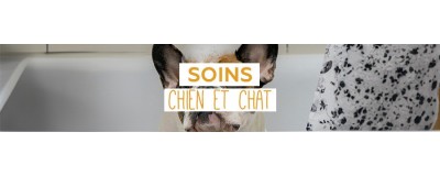 Soins