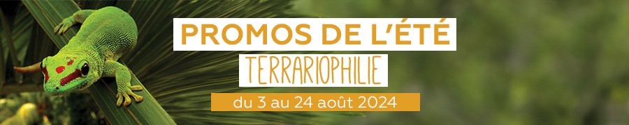 Supers promos terrariophilie | Nilufar