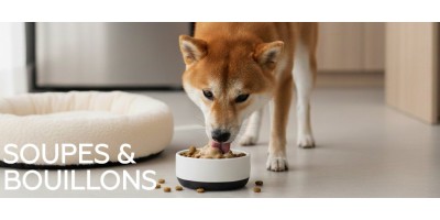 Soupes & bouillons