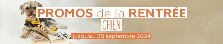 PROMOS DE LA RENTRÉE POUR VOTRE CHIEN | NILUFAR