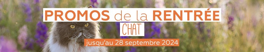 PROMOS DE LA RENTRÉE POUR VOTRE CHAT | NILUFAR