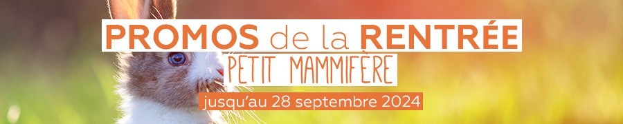 PROMOS DE LA RENTRÉES POUR VOTRE PETIT MAMMIFERE | NILUFAR