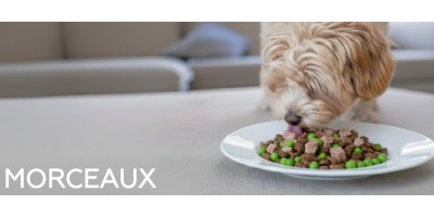 Morceaux en boites & sachets pour chien